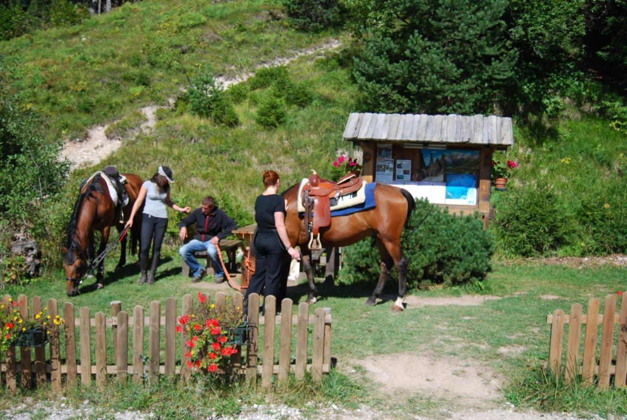 Hotel Garni Arnica Molveno Esterno foto